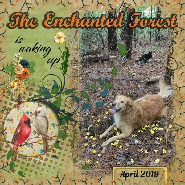 The Enchanted Forest