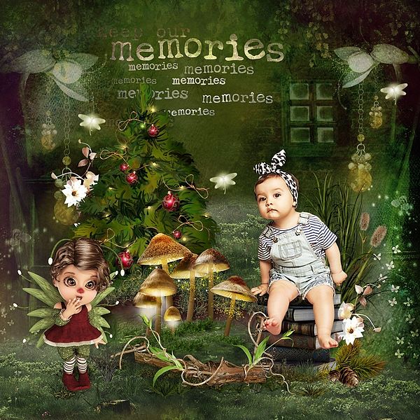 The Fairy Christmas Memories