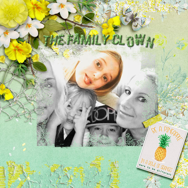 The-family-clown