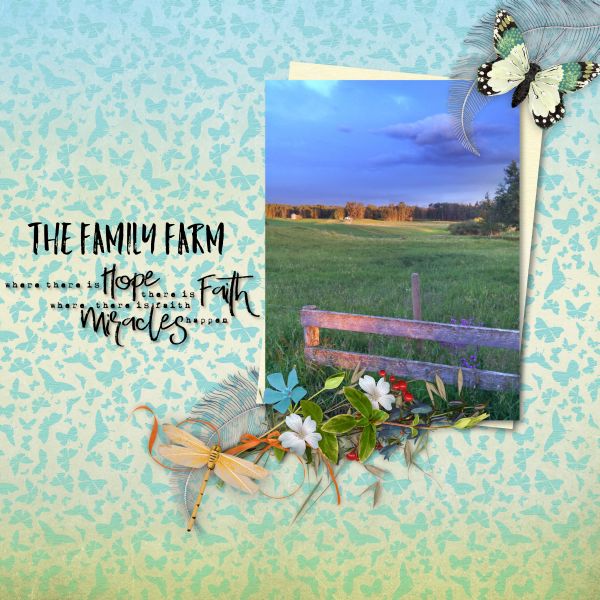 The Family Farm