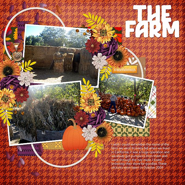 The Farm