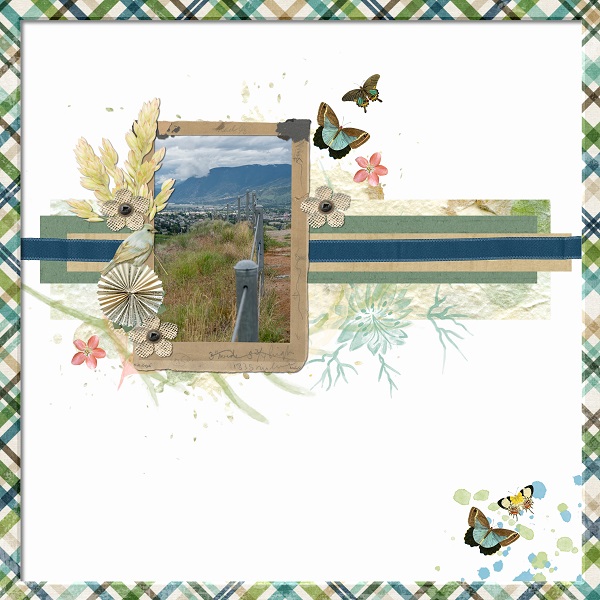 The Fence Line
