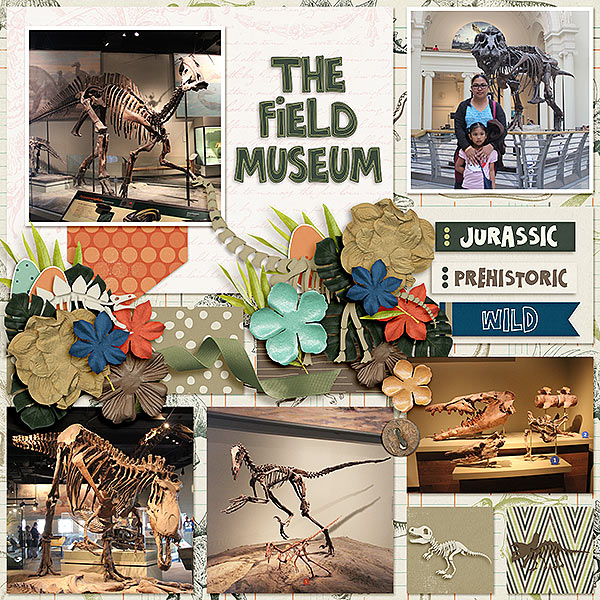 The Field Museum