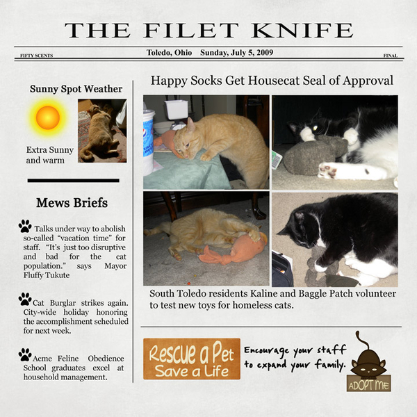 The Filet Knife