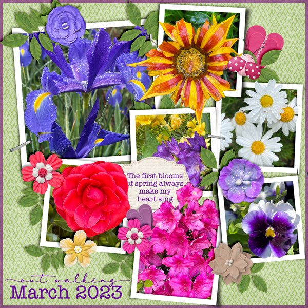 The First Blooms of Spring