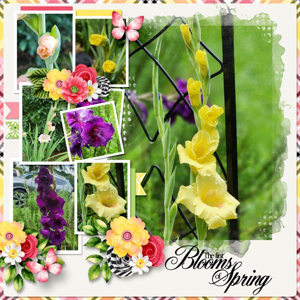 The First Blossoms of Spring