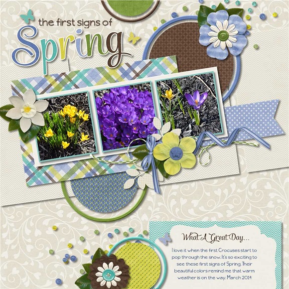 the first signs of Spring