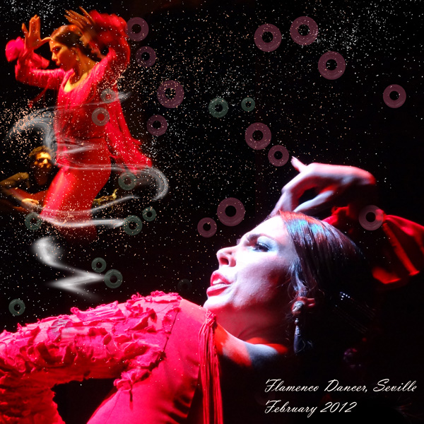 The Flamenco Dancer