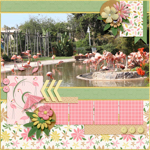 The Flamingos