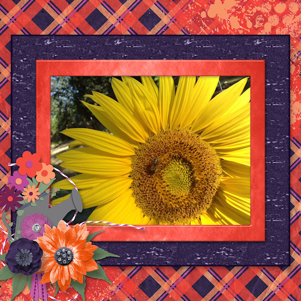 The Flower and the Bee