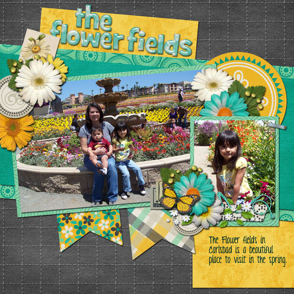The Flower Fields