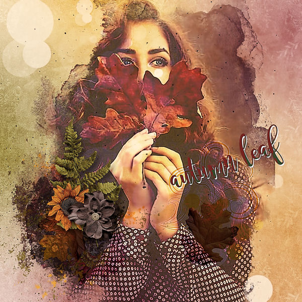 The Flower Garden