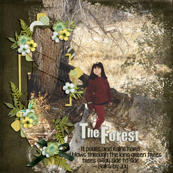 The Forest
