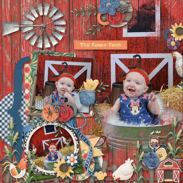 The Funny Farm