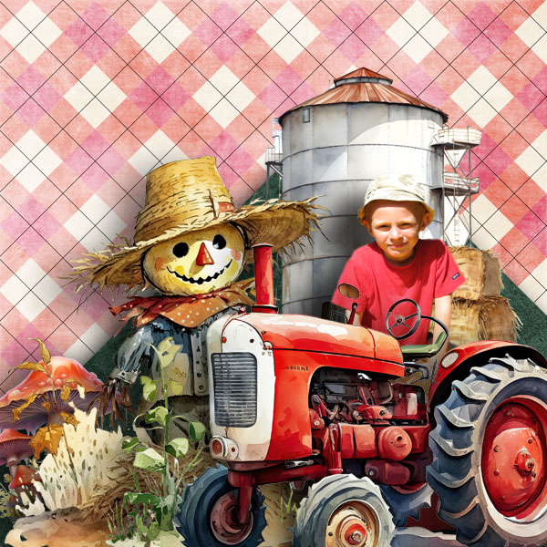The Funny Farm