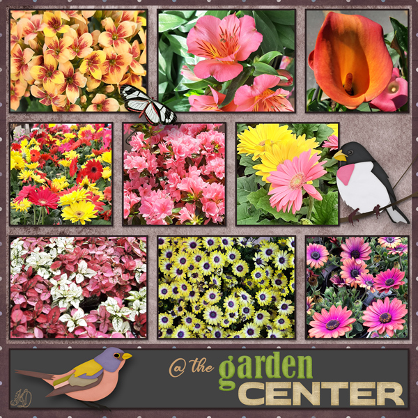 @ the garden center
