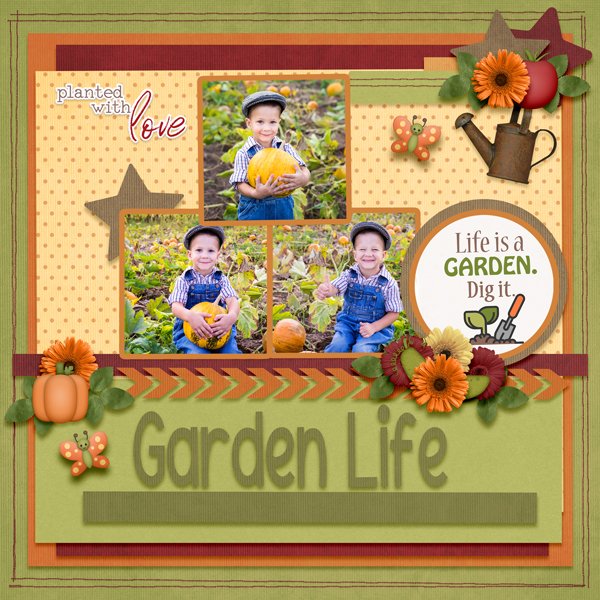 The Garden