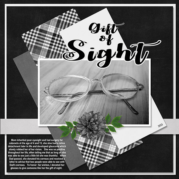 The Gift of Sight