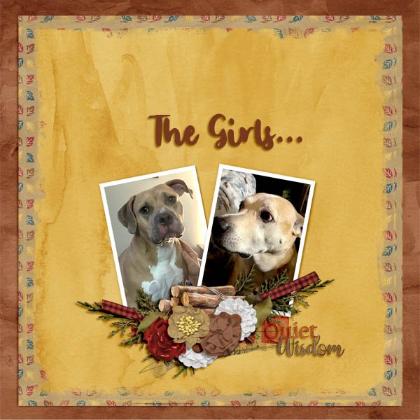 The Girls