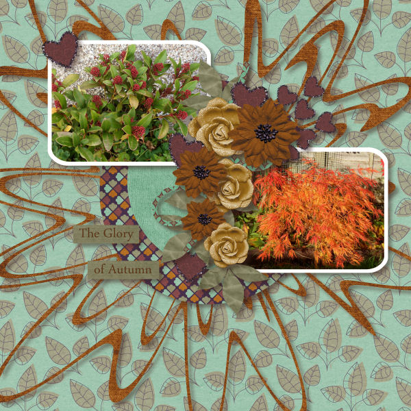 The Glory of Autumn