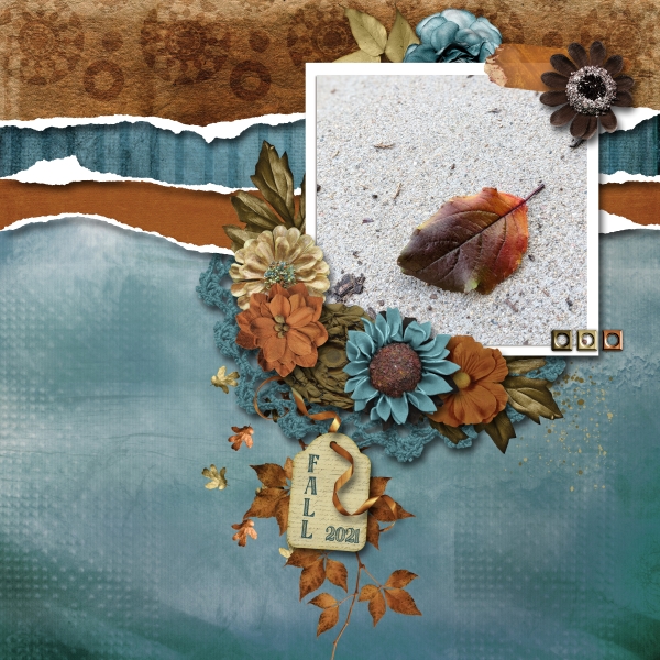 The Glory of Fall