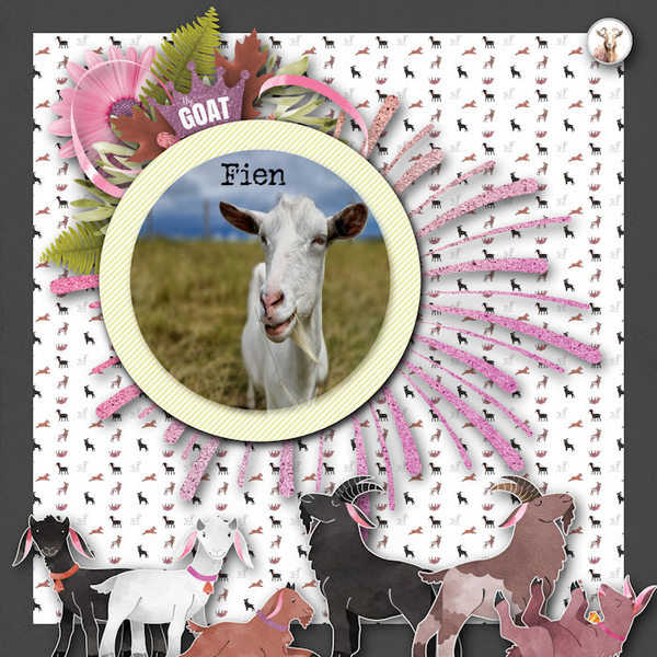 The Goats From Ophelia Sanctuary