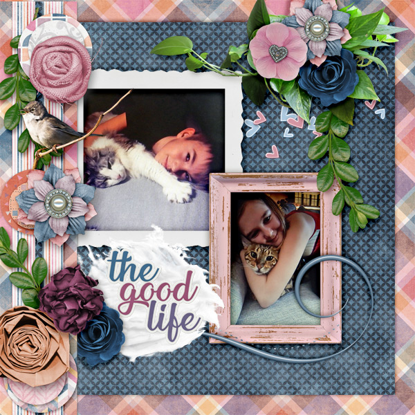 The-good-life7