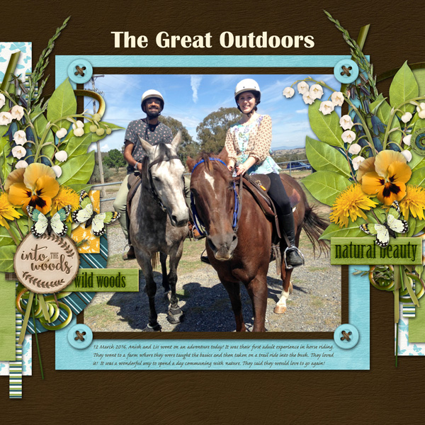 The Great Outdoors