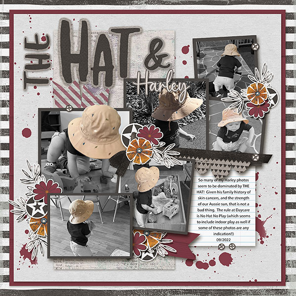 The Hat and Harley
