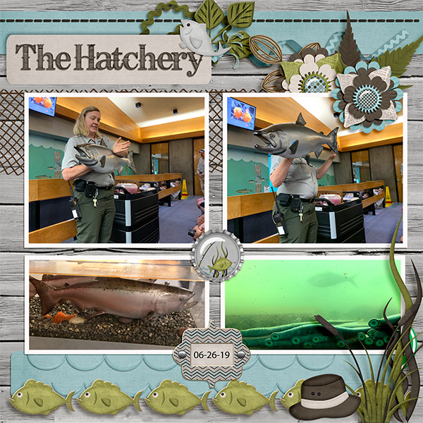 The Hatchery
