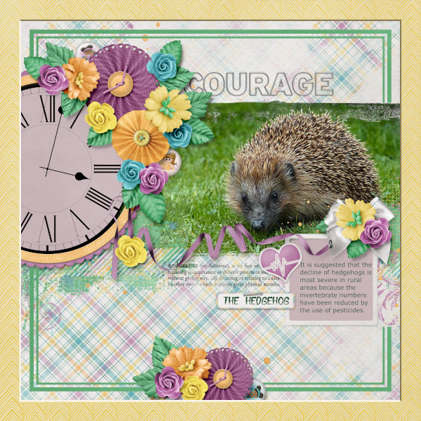 The Hedgehog