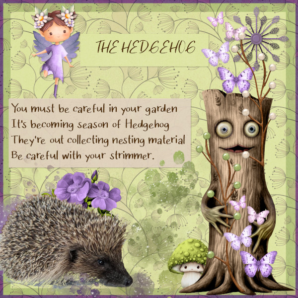 The Hedgehog