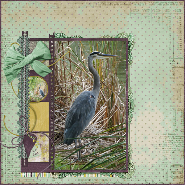 the heron