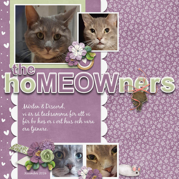 the hoMEOWners