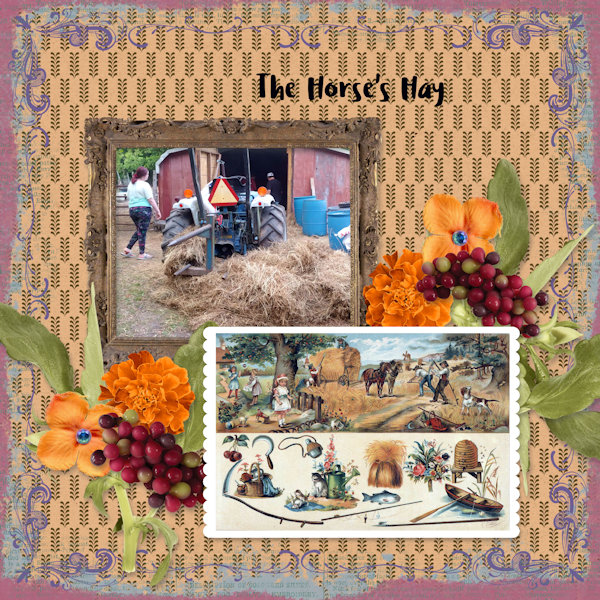 The Horse's Hay
