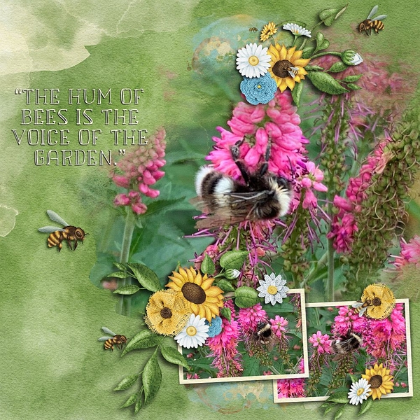 The Hum of Bees
