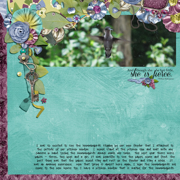 the hummingbird