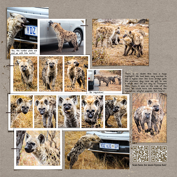 The Hyena Den LHS