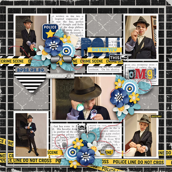 The Investigator