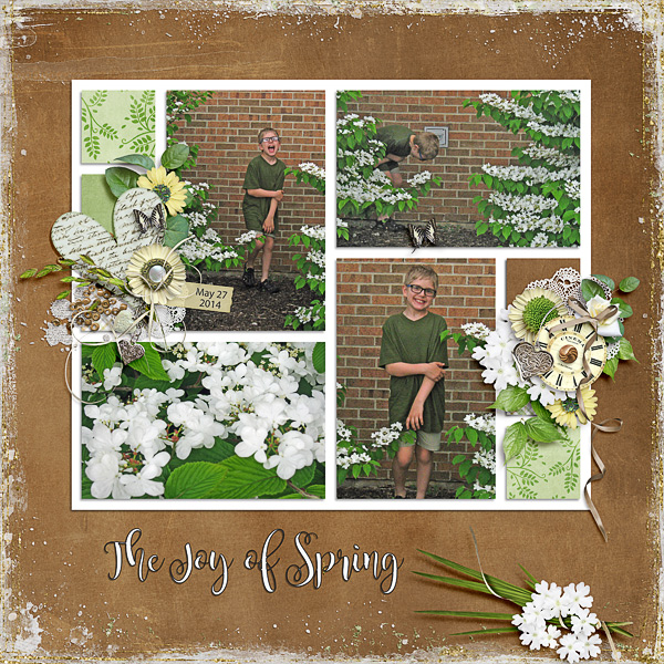 The Joy of Spring
