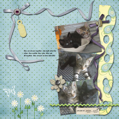 the kitties