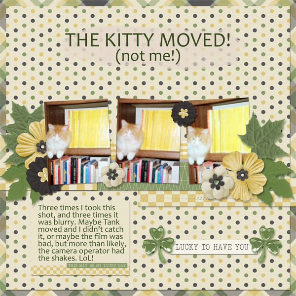 The Kitty Moved!