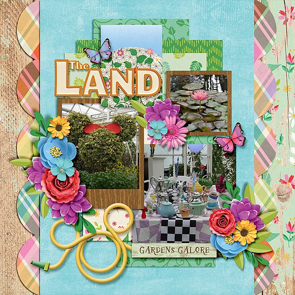 the land 524.jpg