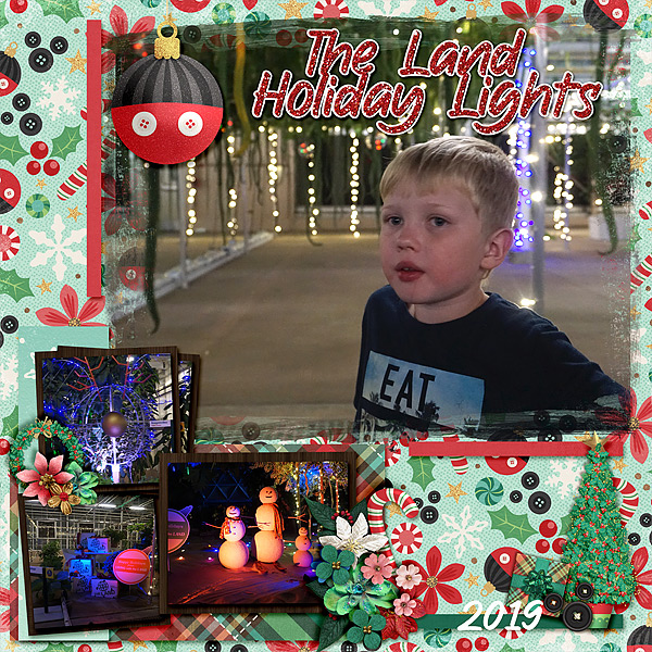 the-land-lit-up
