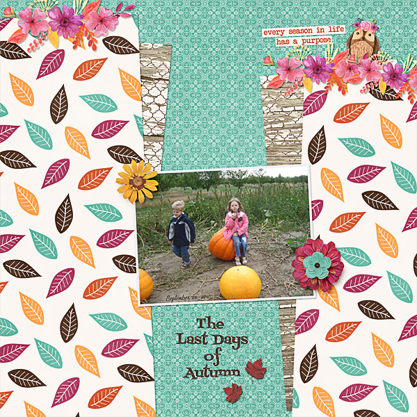 The Last Days of Autumn