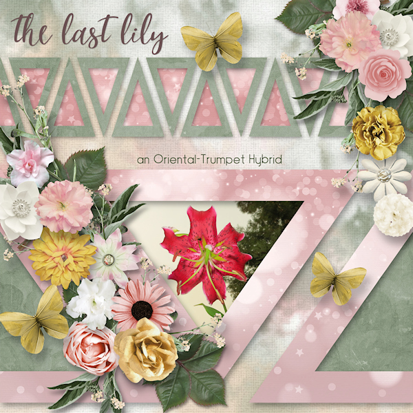 The Last Lily