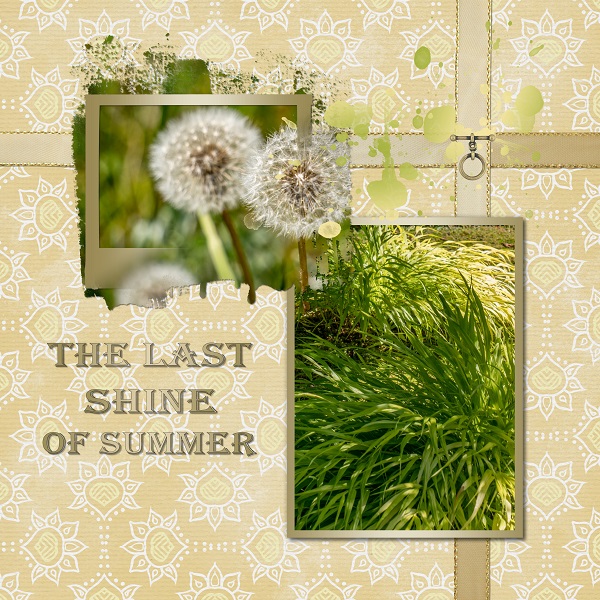 The Last Shine of Summer