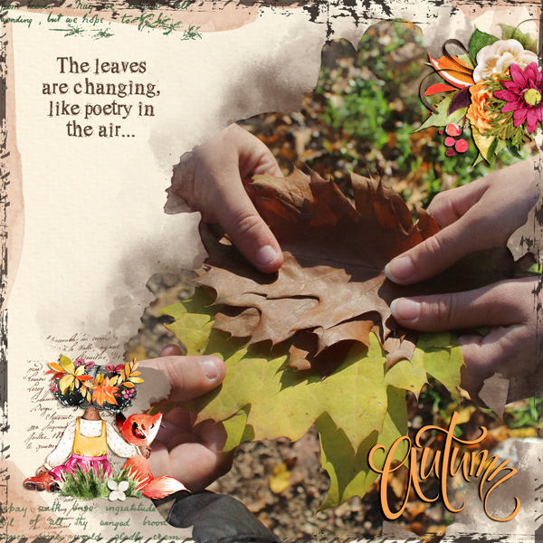the leaves are changing