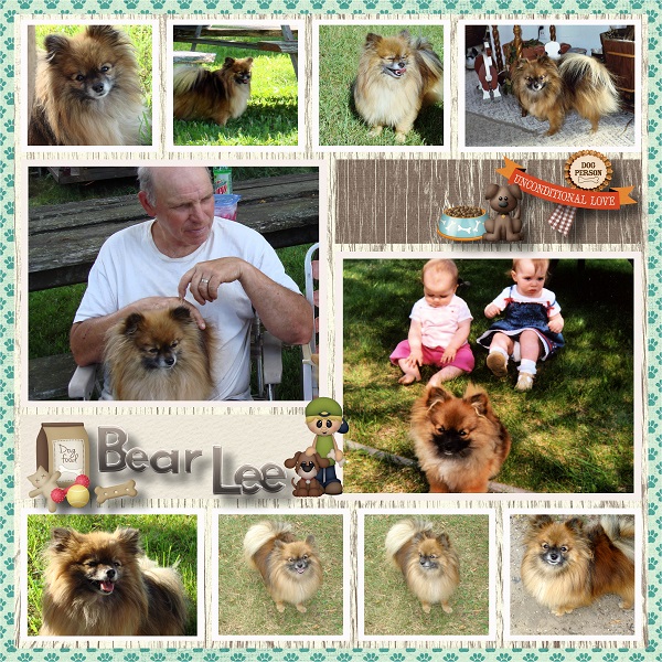 The Life of Bear Lee