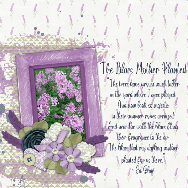 The Lilacs Mother Planted